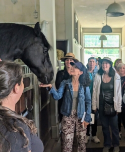 No tour is complete without a brief visit in the stable. Here's Bond saying hello to the group.