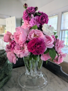 And here is just the first of many rose arrangements I'll enjoy in my home this year. Different shades of beautiful pink. Don't forget to watch "Martha Gardens" exclusively on The Roku Channel for lots of useful information and tips for growing roses. It's available to stream right now!
