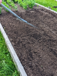 Then Ryan carefully back fills all the furrows in the bed until all the seeds are covered with soil.