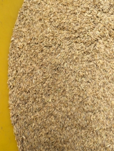 Quality seed for hay should have adaptability, resilience, and excellent nutritional value. In the northern United States, varieties commonly used for hay are timothy, orchard grass, alfalfa and fescue. In the south, Bermuda and bahia hay are more commonly used, plus a mix of high quality legumes for protein.
