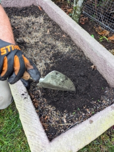 Ryan uses the trowel to dig a hole deep enough so that the top of the root ball is level with the surface of the soil.
