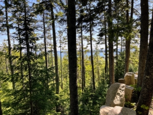Here is another view looking toward Seal Harbor through the trees. On the right is a row of Rockefeller’s teeth on the top edge of the granite ledge. These teeth were part of Jens Jensen’s design plan for the home and alert passers by that there is likely a drop nearby.