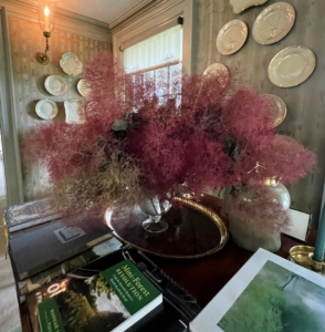 Also in my Brown Room, I decorated nearby tables with Cotinus stems with their purplish pink billowy hairs attached to flower clusters.