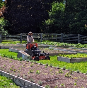 This machine has a smaller frame and can maneuver around the wooden garden beds with ease. We actually designed this garden with the mower in mind, so we were sure to space the beds properly for mowing.