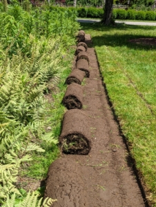 Here are several pieces of sod neatly rolled and placed in a row for moving. It will be used in another section of the farm. Good, healthy sod is always repurposed and transplanted.