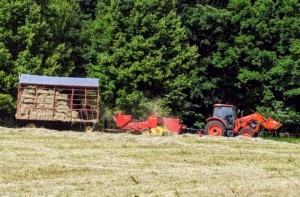 The tractor pulls it around and around the field. This year, we filled the wagon multiple times and had more than 2600 bales from our first cut - the most we've ever had!