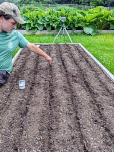 Ryan carefully plants the bed with these seeds spaced about three inches apart with the rows about one foot apart.