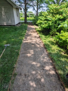 Here is one side of the path all cleared. This too will be lined with red bricks and filled with the stone dust. It leads to the carriage road.