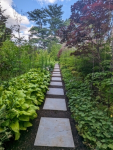 Everything looks so beautiful. It's now a favorite area for guests to walk and see all the gorgeous perennials growing in the garden. I will share more photos of this garden in an upcoming blog.
