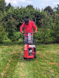 This sod cutter is so easy to maneuver and so sharp, Pete finishes one row in just minutes.