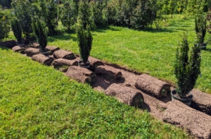 Here are several pieces of sod neatly rolled up and ready to be repurposed in another area of the farm.