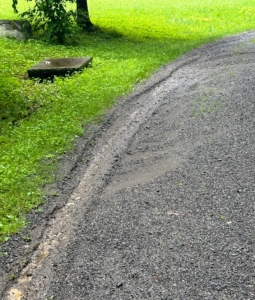 Strong storms cause run-off that also washes the road gravel away like this area along the carriage road through the azalea border.
