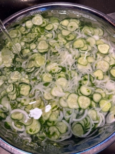 We've had such an abundance of cucumbers this season. I made a giant batch of bread and butter pickles. Here they are in a big bowl with onions - also from my garden.