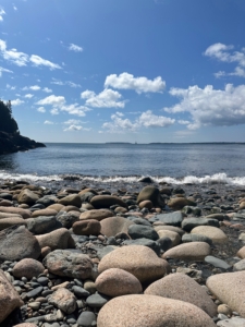 On this day, we walked along Bracy Cove's stony beach.
