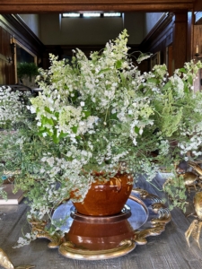 This arrangement is made with lacecap hydrangeas and Ammi majus, the false Queen Anne's Lace.