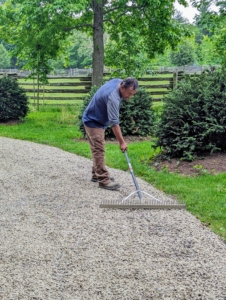 Pete uses a landscape rake to spread and level the gravel to the edge of the road. This area is also high traffic. It leads from the allée of lindens to my chicken coops.