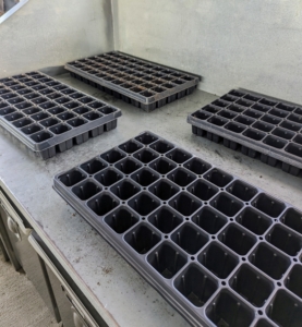Ryan chooses all the necessary seed starting trays. These can be saved from year to year, so don’t throw them away after the season. Seed starting trays are available in all sizes and formations. Select the right kind of tray based on the size of the seeds. The containers should be at least two-inches deep and have adequate drainage holes.