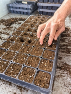 To create a quarter-inch deep furrow in the middle of each compartment, press fingers gently into each cell. This can be done pretty quickly especially if only seeding one or two trays. One can also use the capped end of a felt-tipped marker.