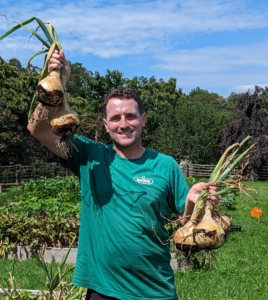 Ryan picked some gorgeous onions. Look how big they are.