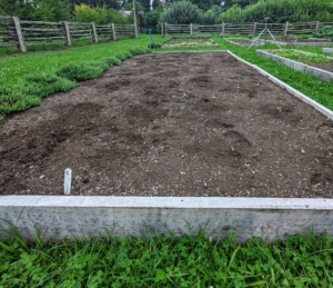 Ryan also plants new beds of cauliflower, broccoli, Romanesco, mustard greens, and kale.