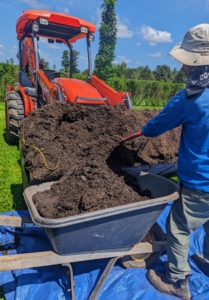 Here, Chhiring fills a wheelbarrow with compost. We always top dress the planting beds with a thin layer of compost to add more nutrient rich organic matter to the soil, which provides for proper drainage. The compost also also gives it a finished and groomed appearance.