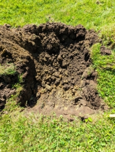 When planting balled and burlapped trees in well-drained soils, dig the hole two to three times wider than the diameter of the tree's rootball.