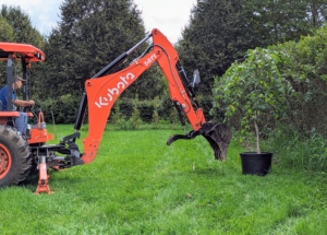 Once Chhiring marks the exact locations for the trees, the digging begins. Chhiring maneuvers our Kubota M62 tractor loader and backhoe to dig a hole for each camperdown elm.