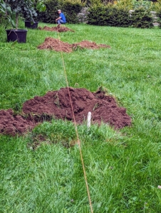After all the holes are dug, Chhiring uses landscaping twine to make sure the trees will be aligned properly. When choosing trees or plants, be sure to consider the size of the specimens when they are mature.