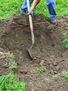 Here, Chhiring manually digs a bit more soil out of the hole. The rule of thumb when planting a tree is to dig the hole two or three times as wide as and no deeper than the bottom of the rootball to the trunk flare. The flare of the tree should be at or slightly above the soil grade. Remember, planting a tree too deep can kill it.