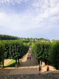 Everything is pruned and carefully groomed according to a very strict schedule. The trees planted throughout the estate require more than three months of pruning by a team of four.
