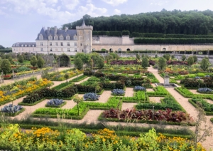 This is the Ornamental Kitchen Garden is located between the château and the village and is made up of nine raised beds featuring different geometrical designs.