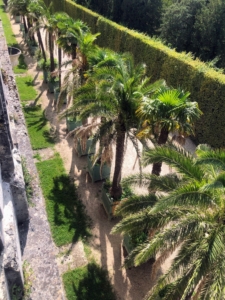 Potted palm trees, orange trees from Portugal, Spain and Italy, lemon trees, oleander, and pomegranate trees, some more than 200 years old, are all housed in the Orangerie.