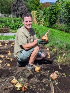 Here's Ryan after picking one of our largest onions. To pick, he carefully loosens the surrounding soil and then gently pulls the onion up by its top. It's important to keep the stem intact to prevent the possibility of rot.