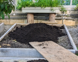 We spend a good amount of time preparing the soil before planting. This includes cleaning the beds and adding organic, nutrient-rich compost. Recently, the beds were all topped with a fresh layer of compost.