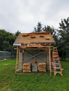Batches of shingles are placed on the roof, so they are easy to reach.
