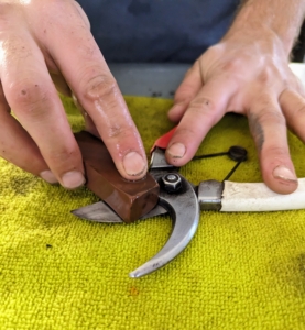 Here’s another view. Most secateurs are single bevelled – Brian sharpens the outside, and then smooths off the inside, going slightly over the edge.
