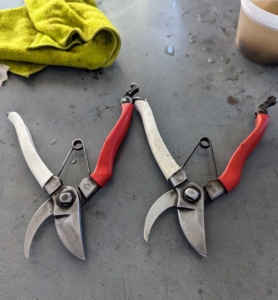 Now both pairs are ready to go back out into the gardens. Cleaning and sharpening supplies are available at many garden shops and online. It is crucial to keep these garden tools sharp at all times. Sharp pruners for working in the gardens… it's a very “good thing.”