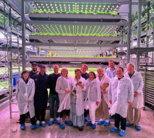I visited the team at Vaxa, a hydroponic vegetable grower in Iceland.