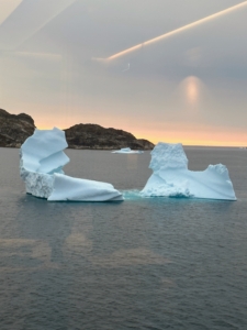 We saw many icebergs during our journey.