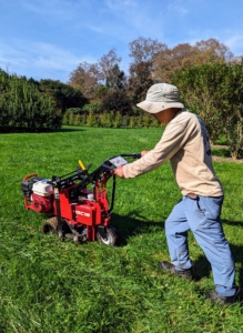 The first step in our maze planting process is to remove the sod where the plants will go. Chhiring goes over the designated beds with our Classen Pro HSC18 sod cutter. The sod cutter goes over the area smoothly and deeply. Everything must be done as precisely as possible for the maze. This sod cutter is so easy to maneuver and so sharp, Chhiring finishes one row in just minutes.