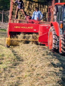 Chhiring drives the tractor and starts the process midday when there is the least amount of moisture. The tractor rides to one side of the windrow while the baler passes directly over it to collect the hay.