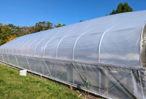 Here is the new skin - notice how full the top of the structure is after it is fully inflated. This Polyethylene fabric is designed to stand up to just about any climate. It also resists rips and tears, so it could last up to 10-years depending on the weather.