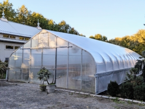 The steep roof slope of this structure will also prevent snow accumulation during the winter months. It fits so well in this location. I am very fortunate to have the space here at the farm to accommodate these hoop houses for my plants.