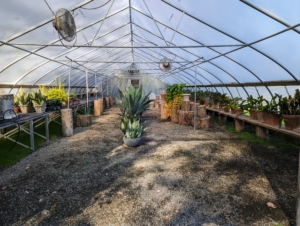 This hoop house is 60-feet by 26-feet. It is covered with a heavy-duty, woven polyethylene plastic that features an anti-condensate additive to reduce moisture buildup and dripping. It is also covered with a layer that contains UV additives that allow the fabric to maintain its strength. I am very fortunate to have these structures for storing all my tropical specimens.