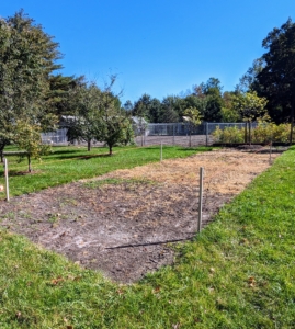 If you follow my blog regularly, you may recognize this area in front of my former vegetable garden. Earlier this summer, we measured the space and removed the sod where the small hoop house would go.