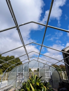 The hoop house is now completely bare -just the front and back paneling and the durable metal frame are left standing.