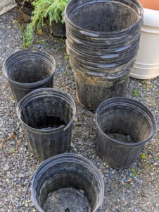 We always save the plastic pots that come with new plants. These pots are very helpful for winter storage and for potting up our bare root seedlings.