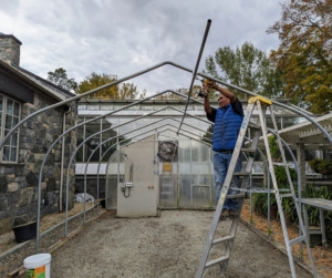 All the metal frame piping is removed also. This framework shape is known as gothic style. It is the style I use for all the hoop houses on the farm. I chose it because of its high peak which can accommodate my taller plants.