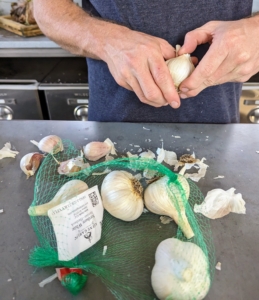 Ryan prepares the garlic for planting – each bulb is carefully broken to separate all the cloves. For the best results, plant the largest cloves from each bulb and save the smaller ones for eating.
