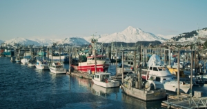 Do you know... Alaska's abundant fisheries catch and process enough seafood each year to feed everybody in the world at least one serving of Alaska seafood, or one serving for every American for more than a month? (Photo from Alaska Seafood)